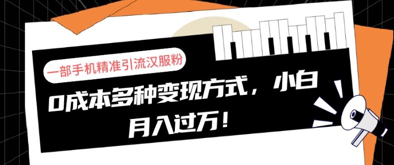 一部手机精准引流汉服粉，0成本多种变现方式，小白月入过万！-网创资源