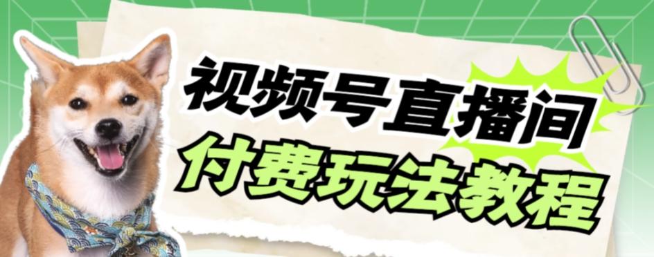 视频号美女付费无人直播，轻松日入500+【详细玩法教程】-网创资源