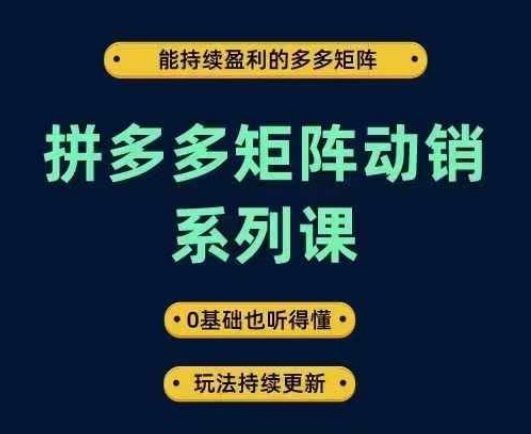 拼多多矩阵动销系列课，能持续盈利的多多矩阵，0基础也听得懂，玩法持续更新-网创资源
