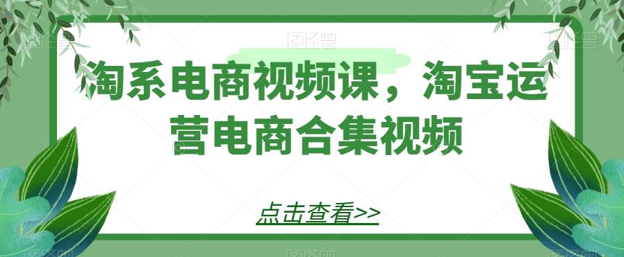 淘系电商视频课，淘宝运营电商合集视频-网创资源