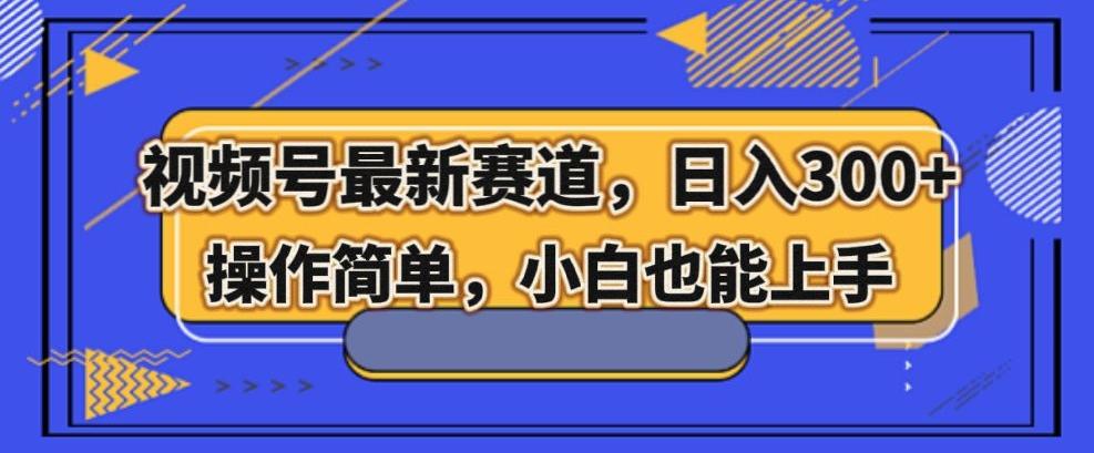 视频号最新赛道，日入300+，新手小白轻松掌握-网创资源