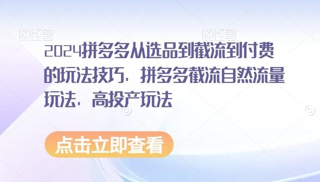 2024拼多多从选品到截流到付费的玩法技巧，拼多多截流自然流量玩法，高投产玩法-网创资源