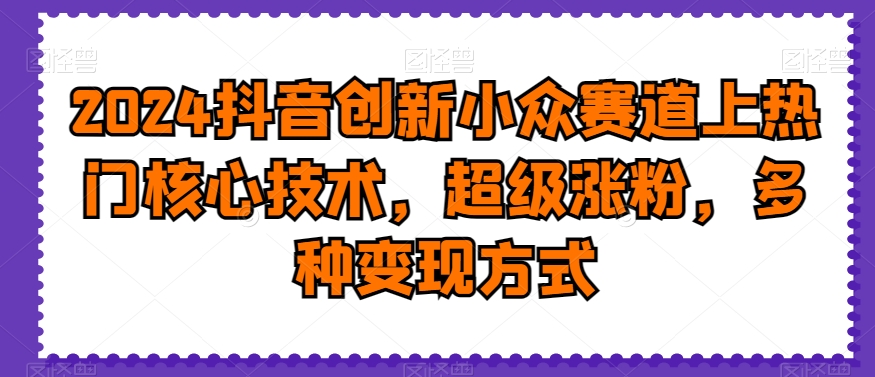 2024抖音创新小众赛道上热门核心技术，超级涨粉，多种变现方式【揭秘】-网创资源