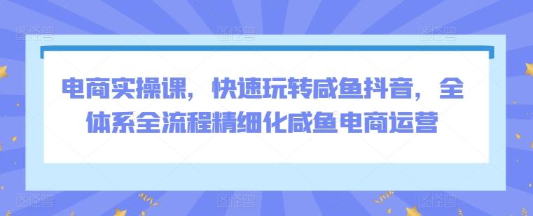 电商实操课，快速玩转咸鱼抖音，全体系全流程精细化咸鱼电商运营-网创资源