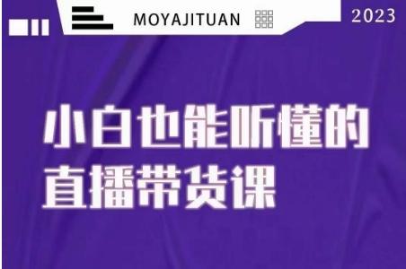 大威本威·能听懂的直播带货课，小白也能听懂，20节完整-网创资源