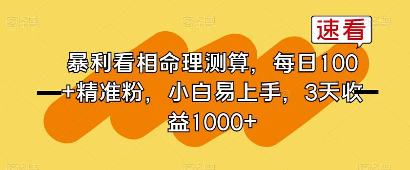 暴利看相命理测算，每日100+精准粉，小白易上手，3天收益1000+【揭秘】-网创资源