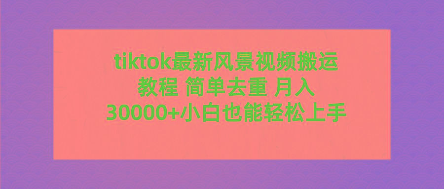 (9804期)tiktok最新风景视频搬运教程 简单去重 月入30000+附全套工具-网创资源