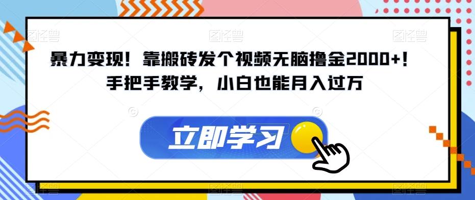暴力变现！靠搬砖发个视频无脑撸金2000+！手把手教学，小白也能月入过万【揭秘】-网创资源