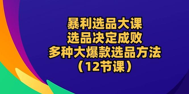 暴利 选品大课：选品决定成败，教你多种大爆款选品方法(12节课-网创资源