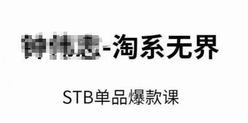 淘系无界STB单品爆款课(2024)，付费带动免费的核心逻辑，万相台无界关键词推广/精准人群的核心-网创资源