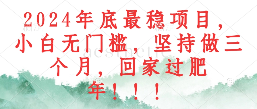 2024年底最稳项目，小白无门槛，坚持做三个月，回家过肥年！！！-网创资源