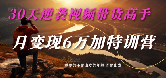 30天逆袭视频带货高手，单月变现6万加特训营-麦子甜-网创资源