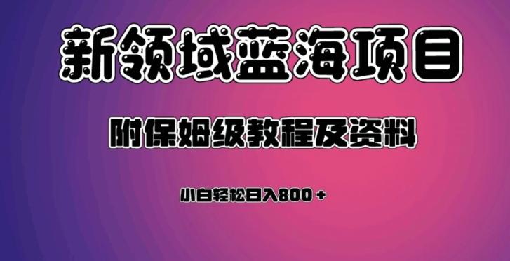 虚拟资源蓝海领域新项目，轻松日入800＋，附保姆级教程及资料-网创资源