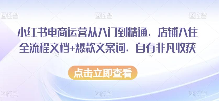 小红书电商运营从入门到精通，店铺入住全流程文档+爆款文案词，自有非凡收获-网创资源