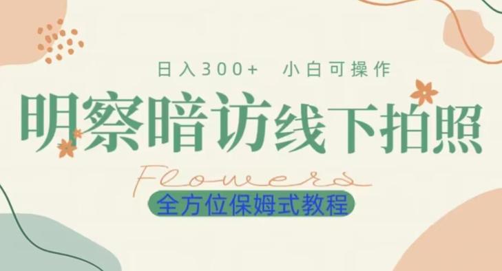 明拍暗拍项目0成本投入日入300+小白可操作保姆式全方位教程-网创资源