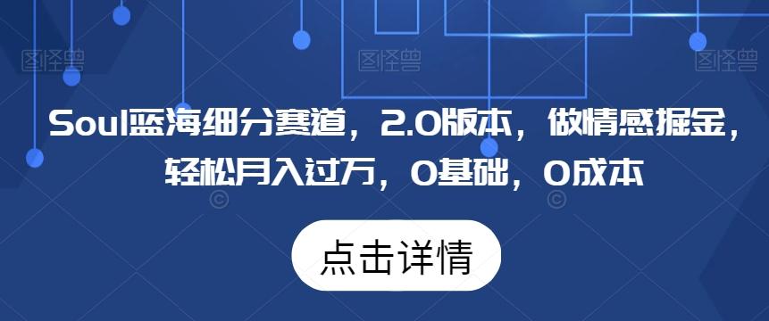 Soul蓝海细分赛道，2.0版本，做情感掘金，轻松月入过万，0基础，0成本-网创资源