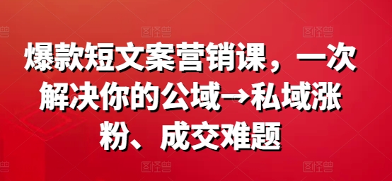 爆款短文案营销课，一次解决你的公域→私域涨粉、成交难题-网创资源