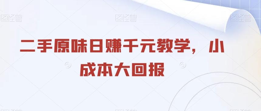 二手原味日赚千元教学，小成本大回报-网创资源