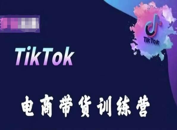 TikTok电商带货训练营，跟随时代潮流，跨境掘金-网创资源