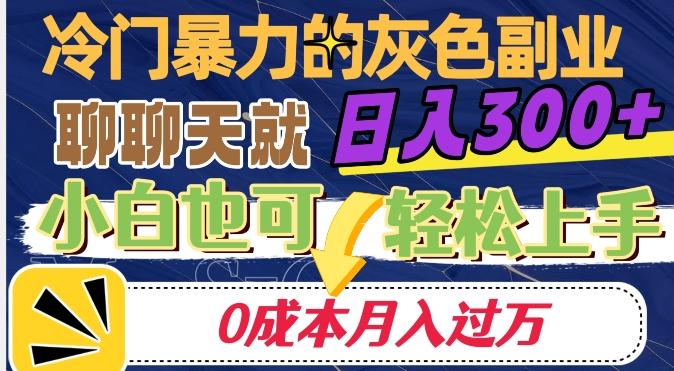 冷门暴利的副业项目，聊聊天就能日入300+，0成本月入过万【揭秘】-网创资源