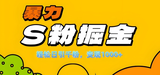 单人单机日引千粉，变现1k+，S粉流量掘金计划攻略【揭秘】-网创资源