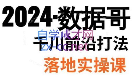 数据哥·2024年千川前沿打法落地实操课-网创资源