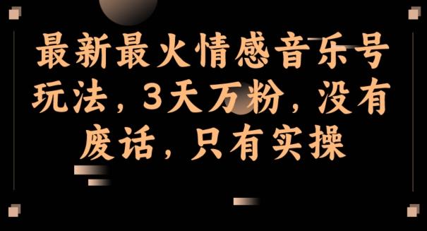 最新最火情感音乐号玩法，3天万粉，没有废话，只有实操-网创资源