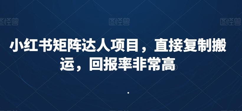 小红书矩阵达人项目，直接复制搬运，回报率非常高-网创资源