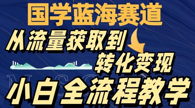国学蓝海赛道，从流量获取，到转化变现，全流程教学-网创资源