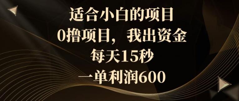 适合小白的项目，0撸项目，我出资金，每天15秒，一单利润600-网创资源