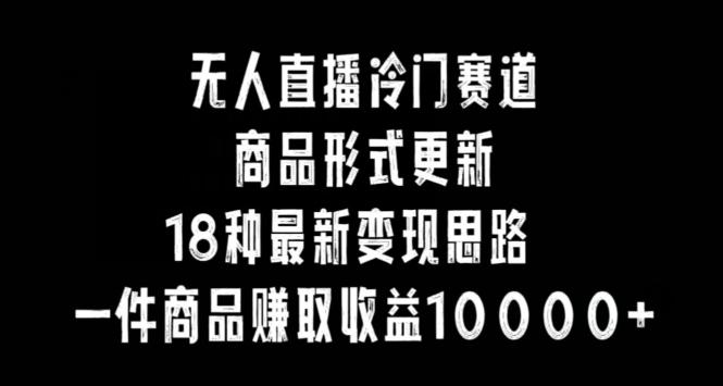无人直播冷门赛道，商品形式更新，18种变现思路，一件商品赚取收益10000+【揭秘】-网创资源