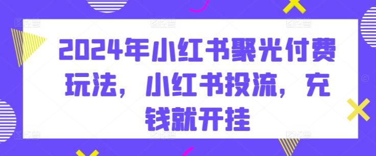 2024年小红书聚光付费玩法，小红书投流，充钱就开挂-网创资源