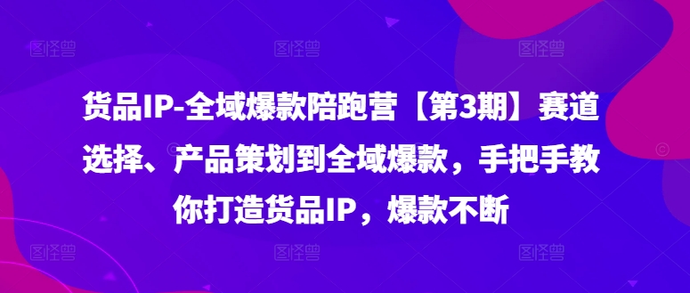 货品IP全域爆款陪跑营【第3期】赛道选择、产品策划到全域爆款，手把手教你打造货品IP，爆款不断-网创资源