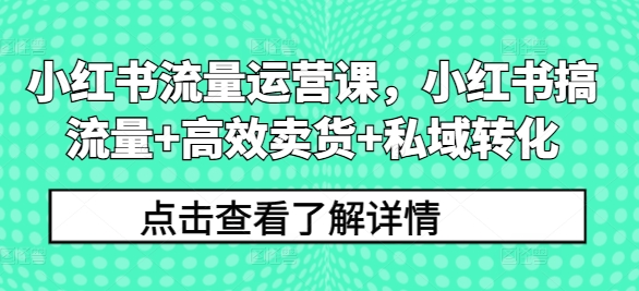 小红书流量运营课，小红书搞流量+高效卖货+私域转化-网创资源