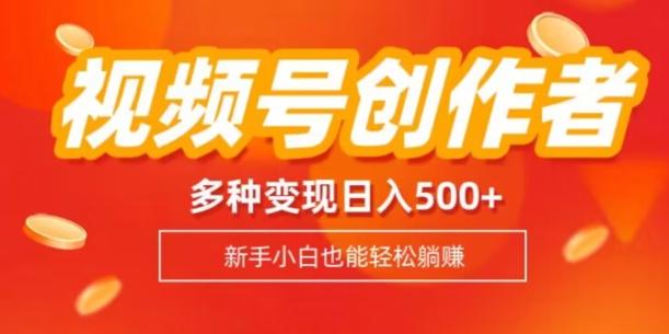 视频号创作者计划，多种变现方式，日入500+【内附1080g视频素材】-网创资源