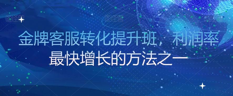 金牌客服转化提升班，利润率最快增长的方法之一-网创资源