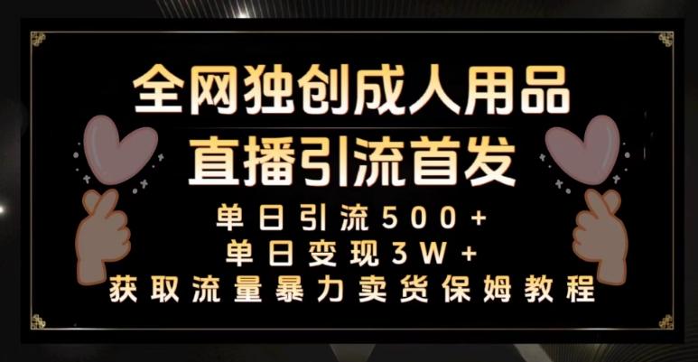 全网独创真人主播+无人直播单日引流500+，橙人用品暴力卖货单日变现3W+保姆似教学2.0【揭秘】-网创资源