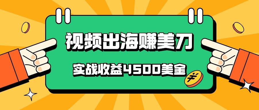 国内爆款视频出海赚美刀，实战收益4500美金，批量无脑搬运，无需经验直接上手-网创资源