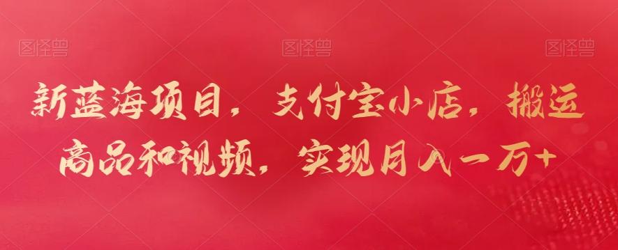 新蓝海项目，支付宝小店，搬运商品和视频，实现月入一万+【揭秘】-网创资源