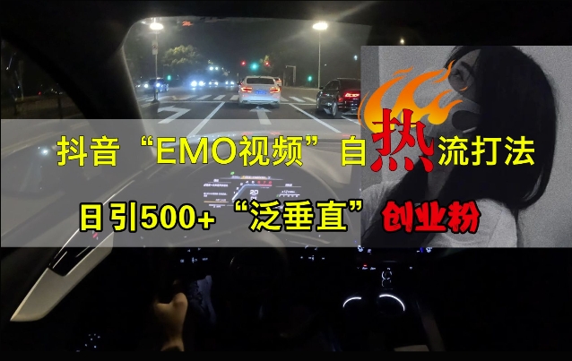 抖音EMO视频自热打法，日引500+“泛垂直”创业粉-网创资源