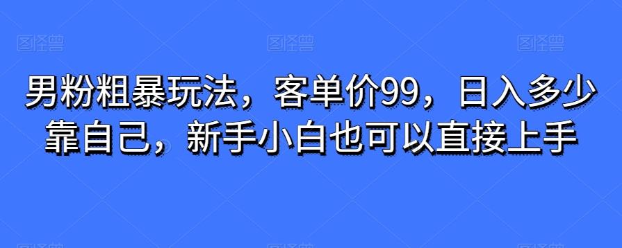 男粉粗暴玩法，客单价99，日入多少靠自己，新手小白也可以直接上手-网创资源