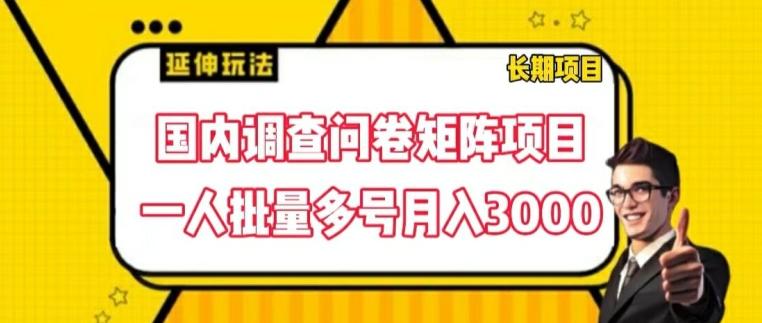 国内调查问卷矩阵项目，一人批量多号月入3000【揭秘】-网创资源