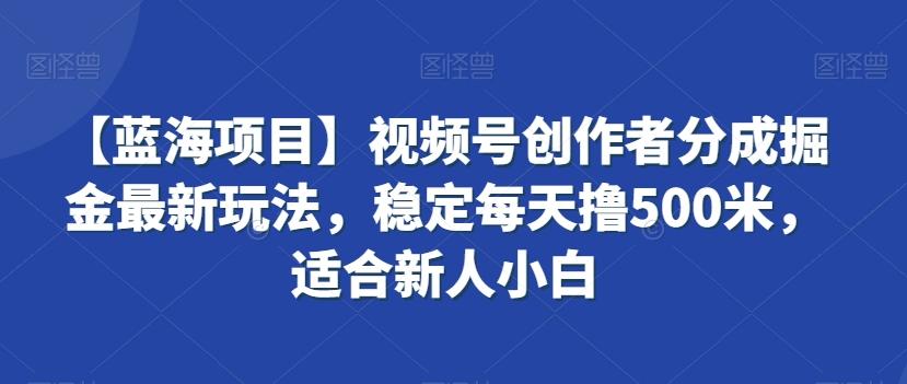 【蓝海项目】视频号创作者分成掘金最新玩法，稳定每天撸500米，适合新人小白【揭秘】-网创资源