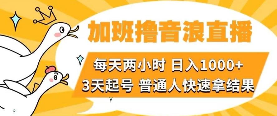 加班撸音浪直播，每天两小时，日入1000+，直播话术才3句，3天起号，普通人快速拿结果【揭秘】-网创资源