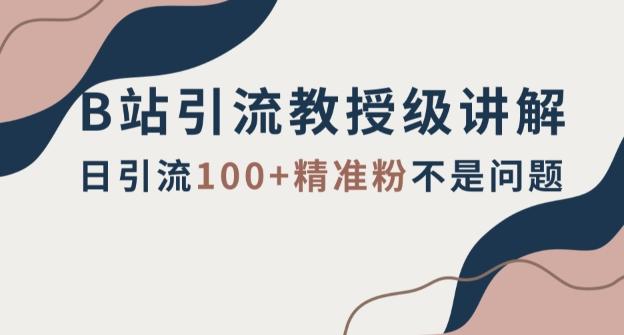 B站引流教授级讲解，细节满满，日引流100+精准粉不是问题【揭秘】-网创资源