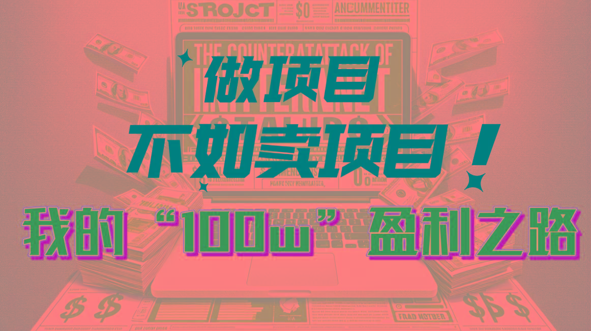 为什么做项目不如卖项目？我的100W+盈利之路-网创资源