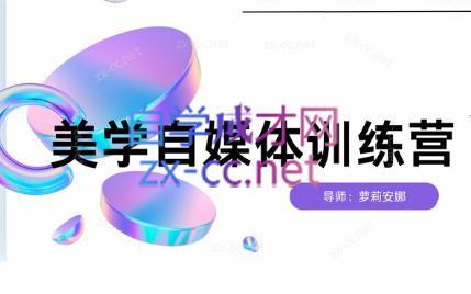 安娜·美学自媒体IP系统课-网创资源