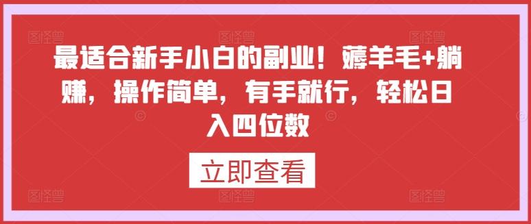 最适合新手小白的副业！薅羊毛+躺赚，操作简单，有手就行，轻松日入四位数【揭秘】-网创资源
