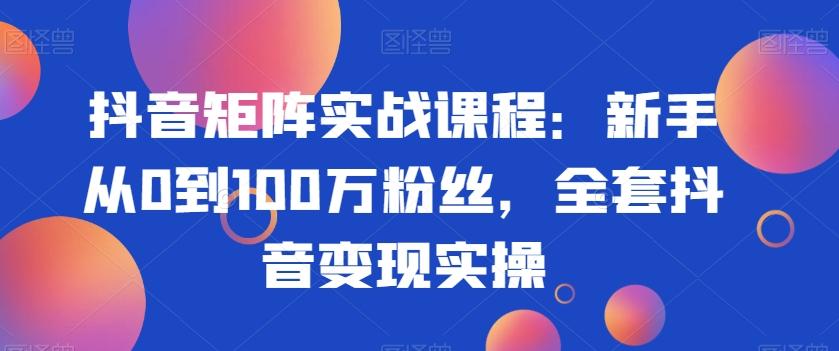 抖音矩阵实战课程：新手从0到100万粉丝，全套抖音变现实操-网创资源
