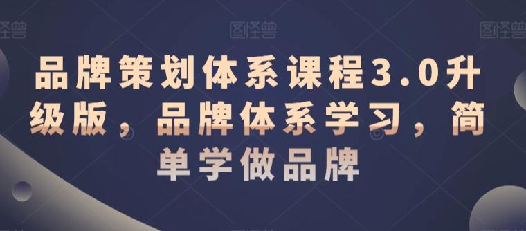 品牌策划体系课程3.0升级版，品牌体系学习，简单学做品牌-网创资源